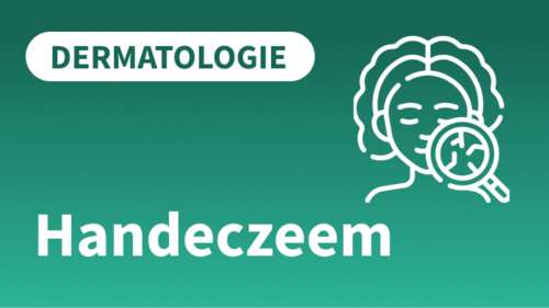 FTO-presentatie Handeczeem